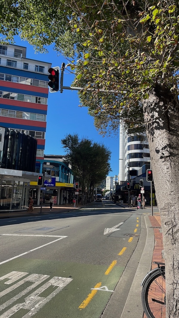 Bright daytime street view showing traffic lights, a canopy of green leaves overhead, and the contrast between buildings and the
sunlit city environment.